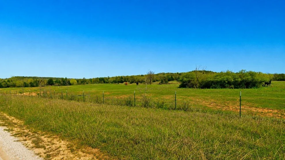 Unit for sale at Lot 18 Parker Dairy Road, Forestburg, TX 76239