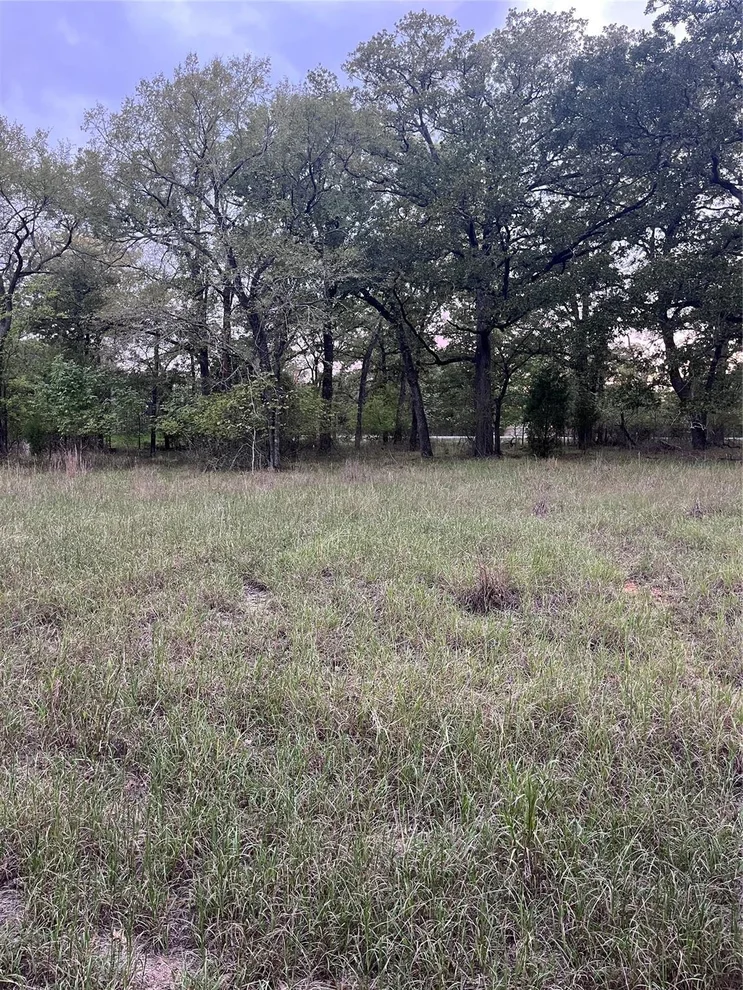 Unit for sale at 26 Boca Chica, Malakoff, TX 75148