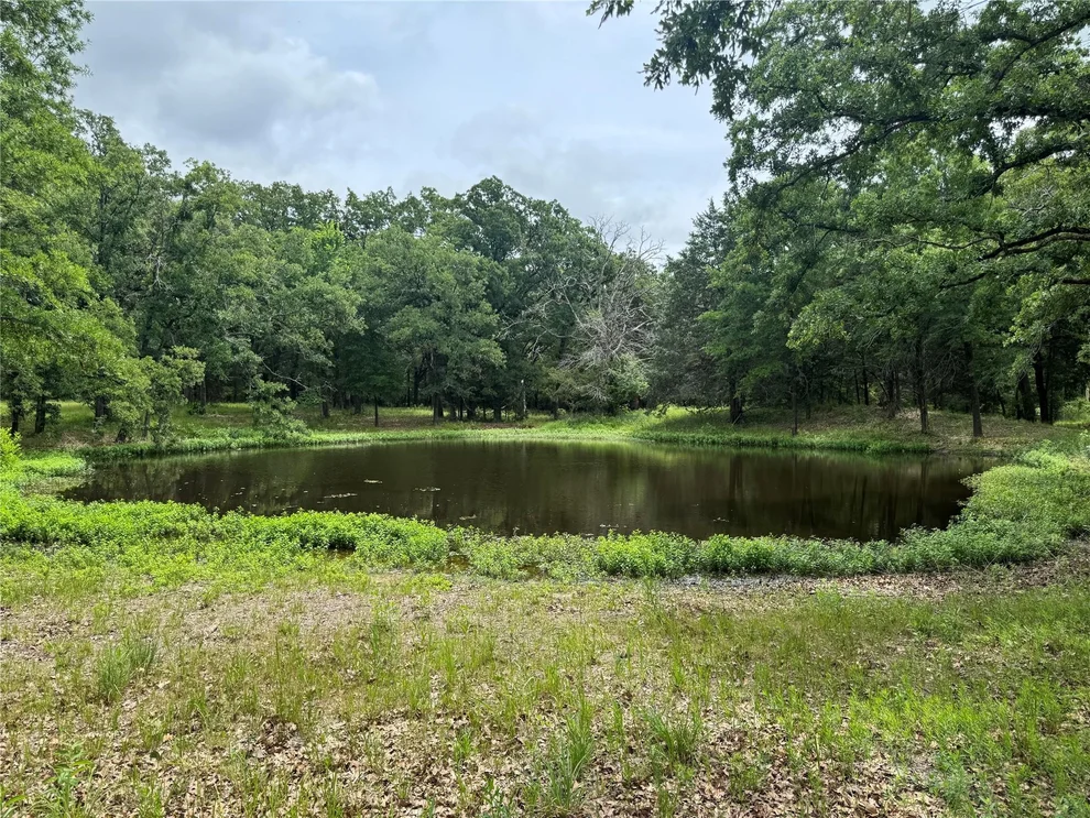 Unit for sale at TBD CO RD 4022, Kemp, TX 75143
