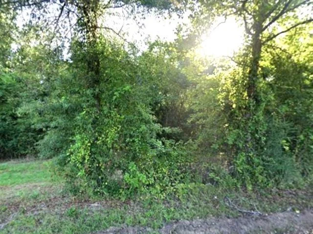 Unit for sale at 0 County Rd 224, Carthage, TX 75633