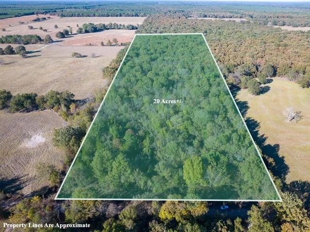 Unit for sale at TBD CR 2110, Clarksville, TX 75426
