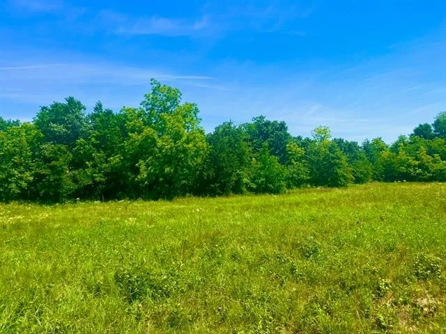 Unit for sale at Lot 103 Arlow Road, Poolville, TX 76487