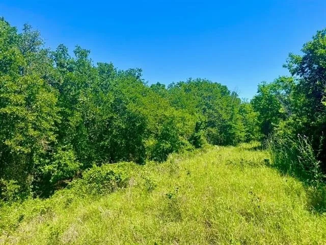 Unit for sale at Lot 35 Galway Road, Poolville, TX 76487