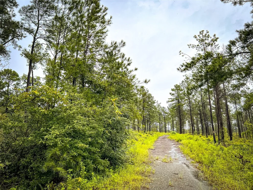 Unit for sale at 4 CR 257, Jasper, TX 75951