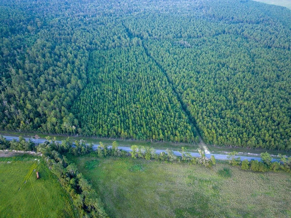 Unit for sale at T-1 Starks Big Woods Rd., Lake Charles, LA 70661