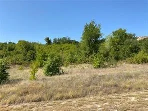 Unit for sale at Lot 168 Canyon Wren N, Graford, TX 76449