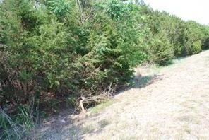 Unit for sale at 5017 Horseshoe Drive, Whitney, TX 76692