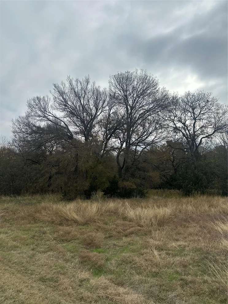 Unit for sale at 44080 Mountain Sage Drive, Whitney, TX 76692