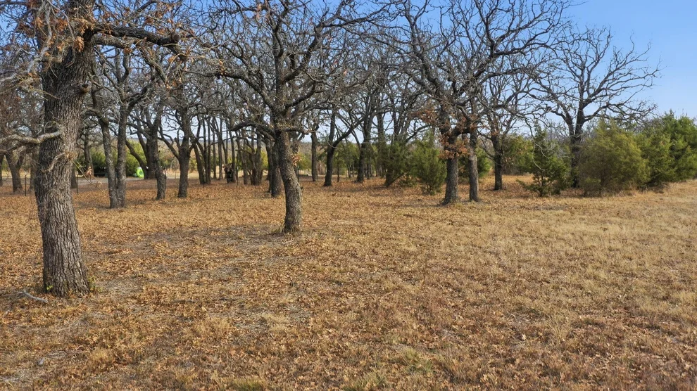 Unit for sale at TBD Dps Tower, Perrin, TX 76486