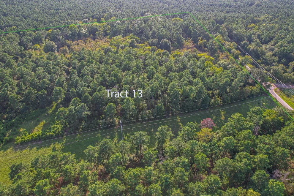 Unit for sale at Tract 13 County Road 4224, Frankston, TX 75763