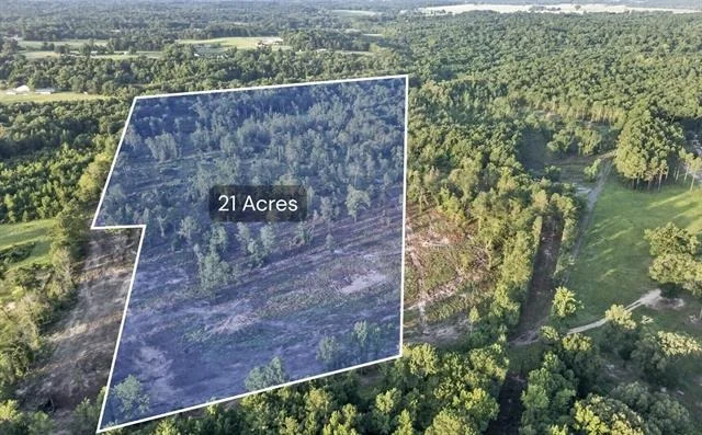 Unit for sale at TBD 21 Acres CR 3116, Winona, TX 75792