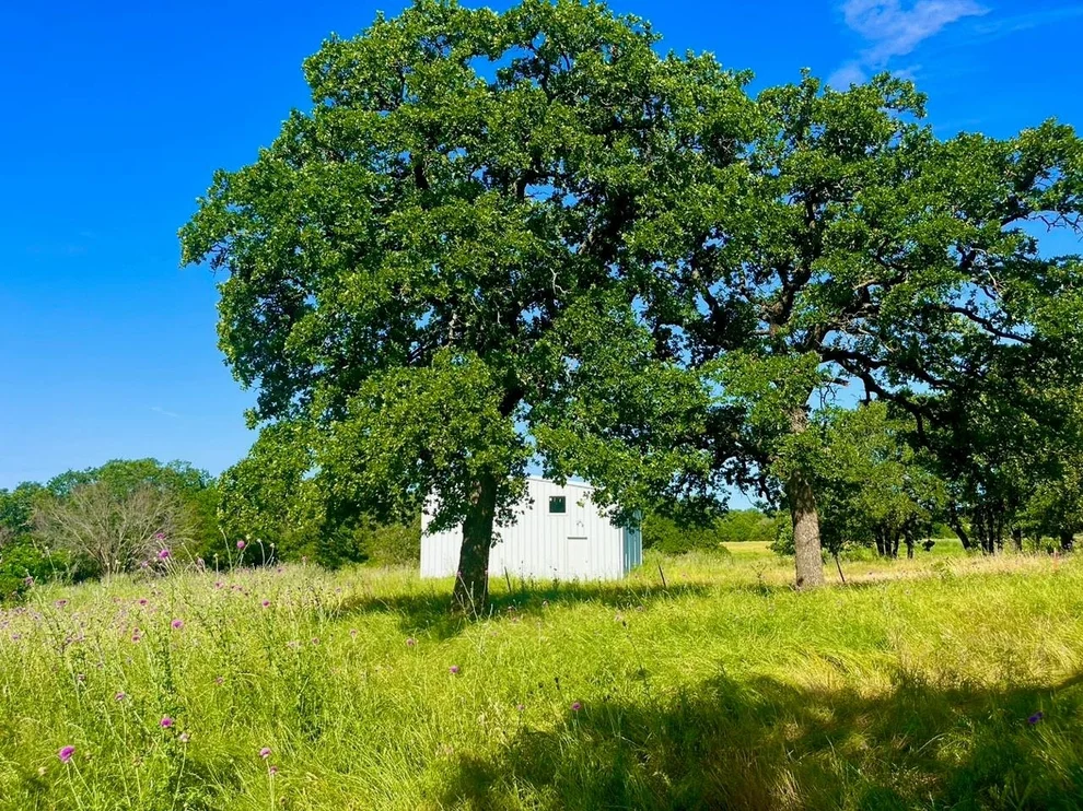 Unit for sale at Lot 55 & 56 KILKENNY Road, Poolville, TX 76487