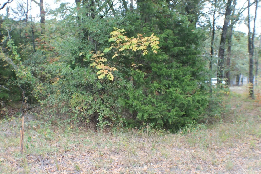 Unit for sale at 0 Inca Drive, Enchanted Oaks, TX 75156
