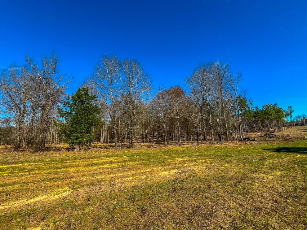 Unit for sale at Tract 3 County Road 1713, Jacksonville, TX 75766