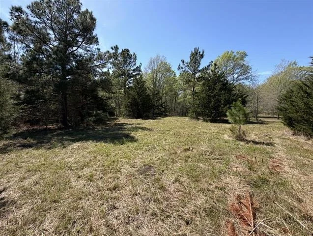 Unit for sale at TBD FM 542, Oakwood, TX 75855