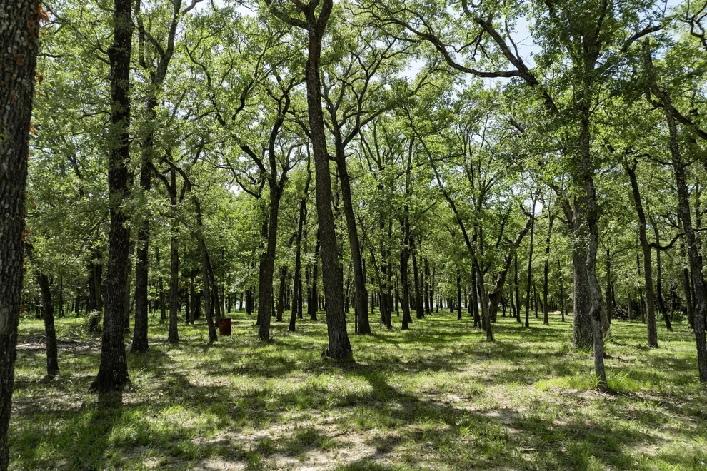 Unit for sale at Lot 71 Anchor, Quinlan, TX 75474