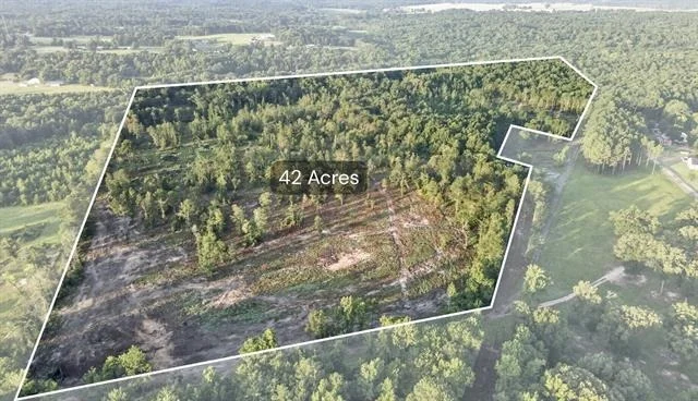 Unit for sale at TBD 42 Acres CR 3116, Winona, TX 75792