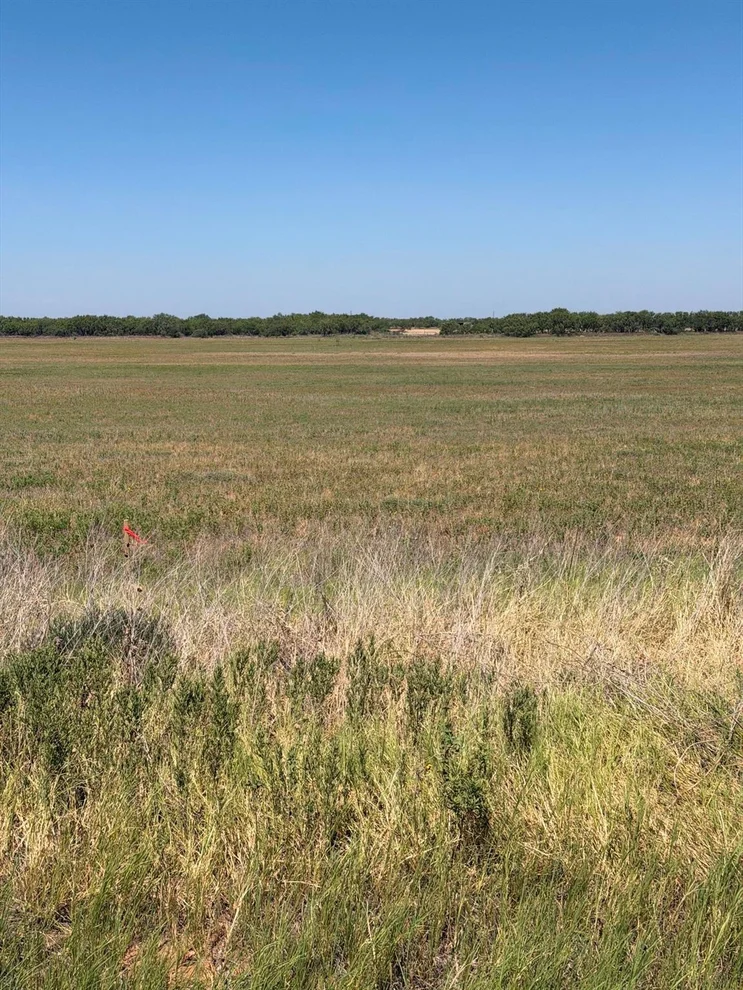 Unit for sale at TBD Lot 25 County Road 497, Anson, TX 79501