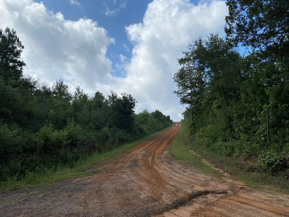 Unit for sale at TBD County Road 394, Tatum, TX 75691