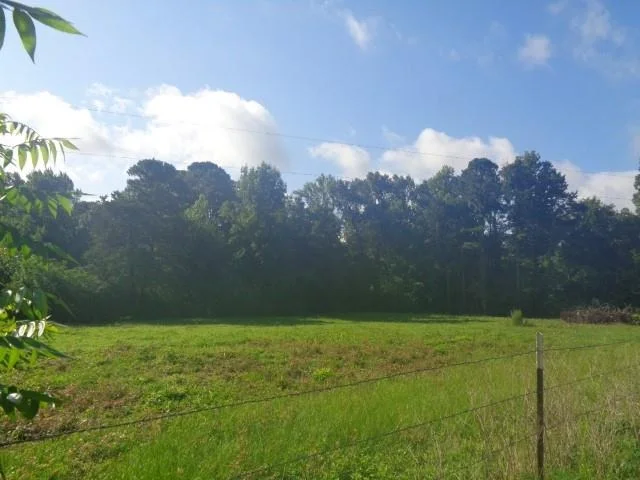 Unit for sale at TBD County Road 4568, Quitman, TX 75494