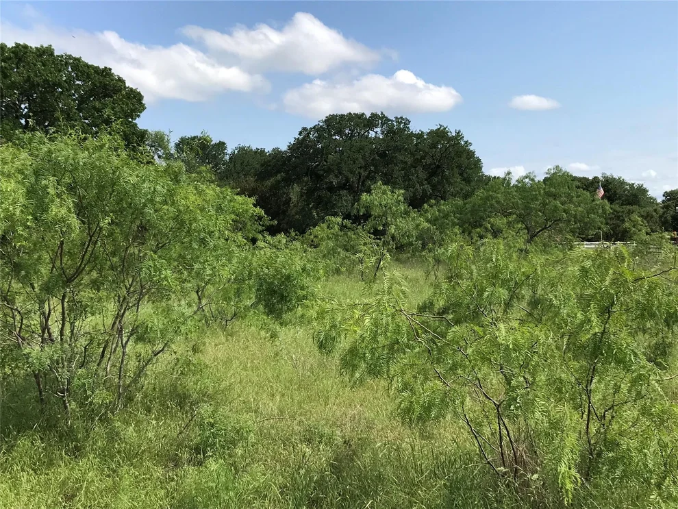 Unit for sale at 17061 Trailwood Drive, Whitney, TX 76692