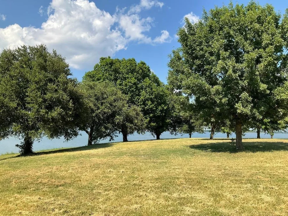 Unit for sale at 2 Acres +/- SE County Road 3186, Corsicana, TX 75109