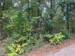 Unit for sale at TBD Lot 17 Westwood Drive, Trinidad, TX 75163