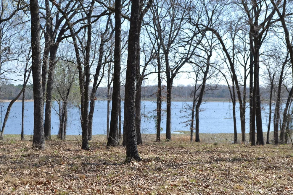 Unit for sale at Lot 13 Angler Shores Drive, Yantis, TX 75497