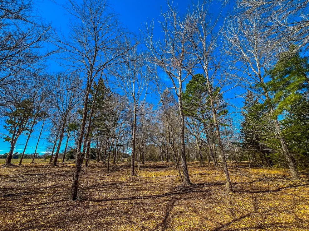Unit for sale at Tract 1 County Road 1713, Jacksonville, TX 75766