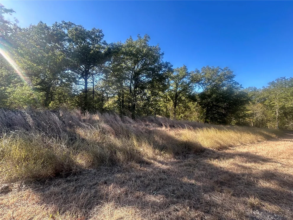 Unit for sale at 58 Point Lavista, Malakoff, TX 75148