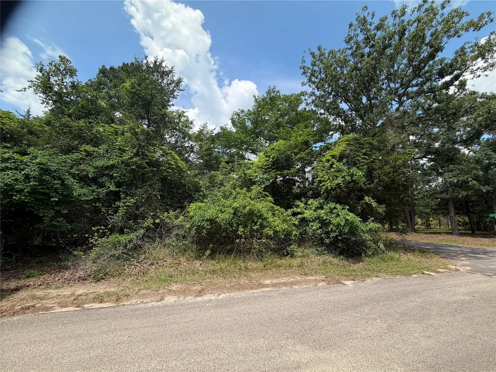 Unit for sale at TBD King Lake Road, Scroggins, TX 75480