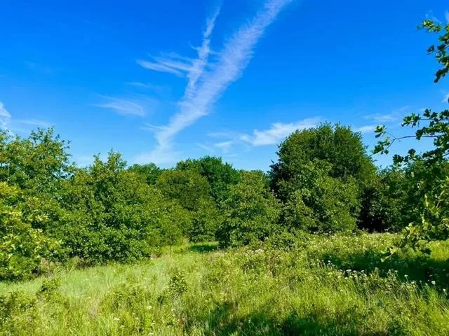 Unit for sale at Lot 53 Wicklow Court, Poolville, TX 76487
