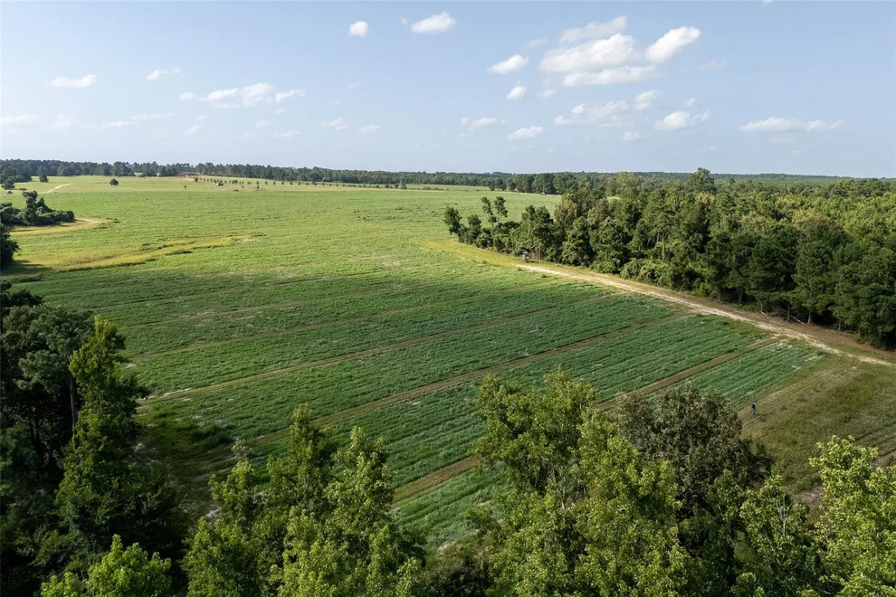 Unit for sale at 00 County Road 2180, Grapeland, TX 75844