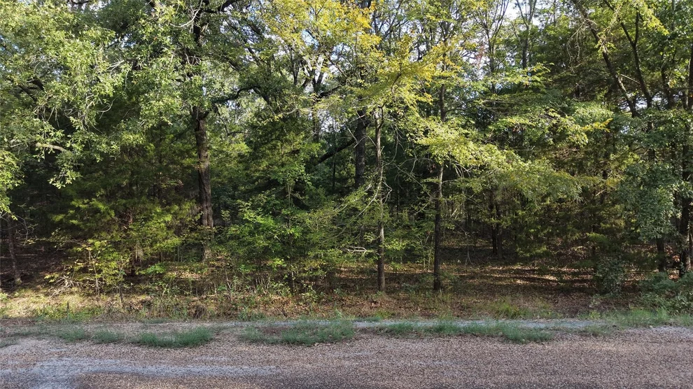 Unit for sale at 0 Chillacothe Trail, Mabank, TX 75156