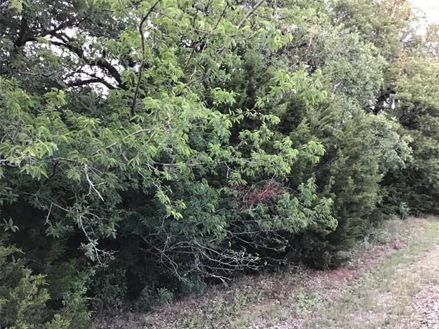 Unit for sale at 44021 Fringewood Drive, Whitney, TX 76692