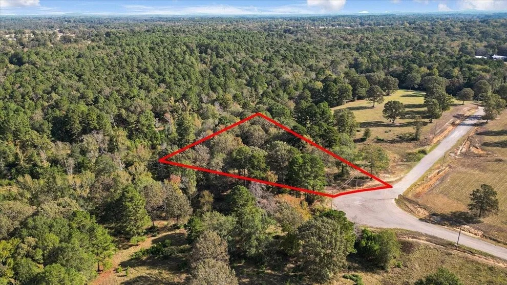 Unit for sale at TBD PR 3398 Road, Big Sandy, TX 75755