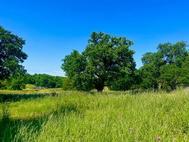 Unit for sale at Lot 69 Kilkenny Road, Poolville, TX 76487