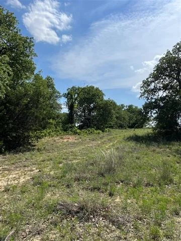 Unit for sale at Lot 12 Clare Road, Poolville, TX 76487