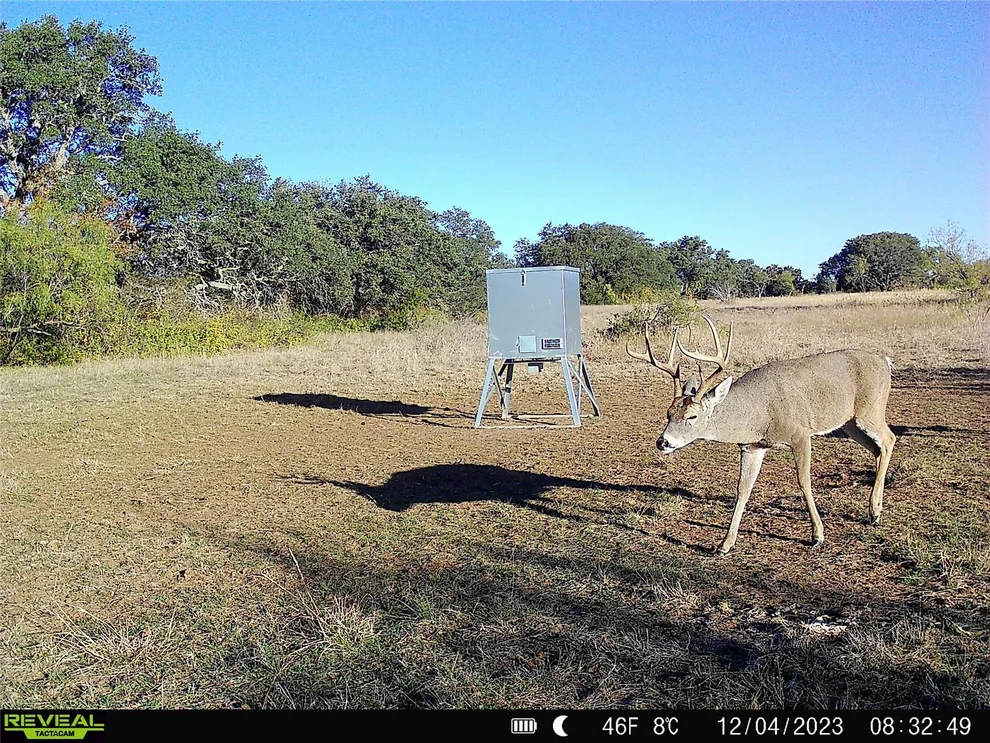 Unit for sale at 11 County Road 191, Mullin, TX 76864