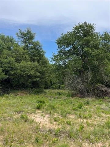 Unit for sale at Lot 96 Kilkenny Rd, Poolville, TX 76487