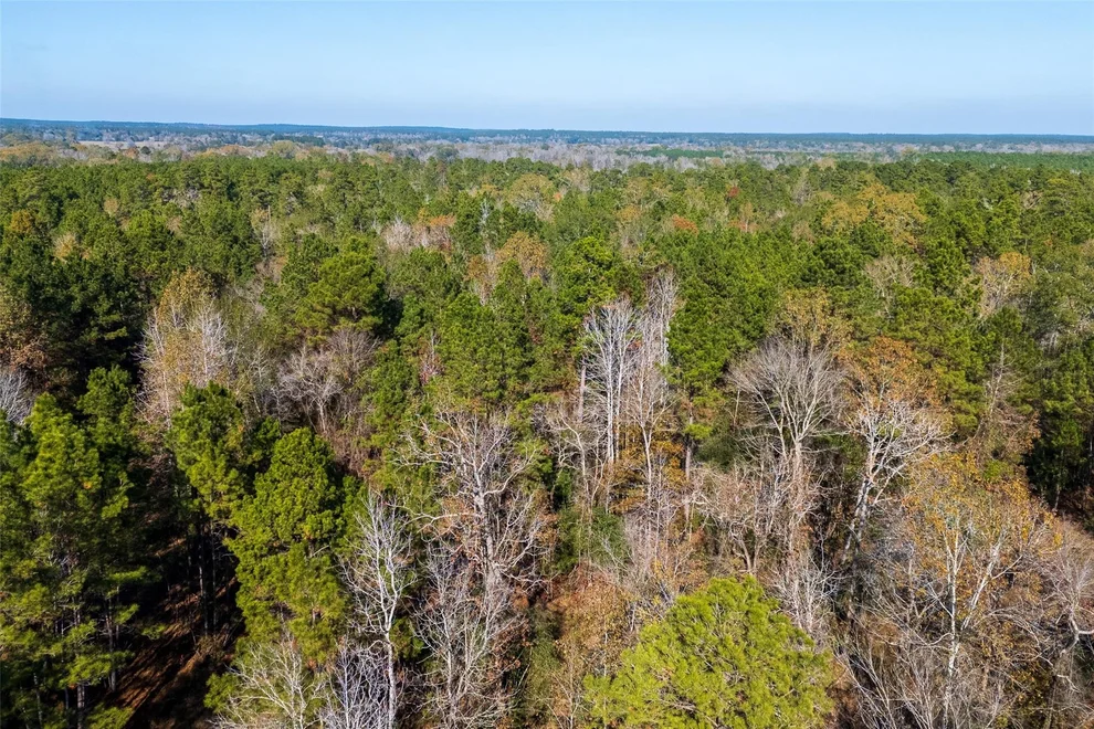 Unit for sale at 000 County Road 1135, Kennard, TX 75835