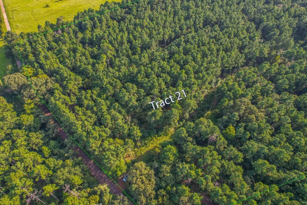 Unit for sale at Tract 21 County Road 4224, Frankston, TX 75763