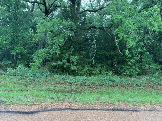 Unit for sale at 111 Double Bridge Road, Mabank, TX 75156