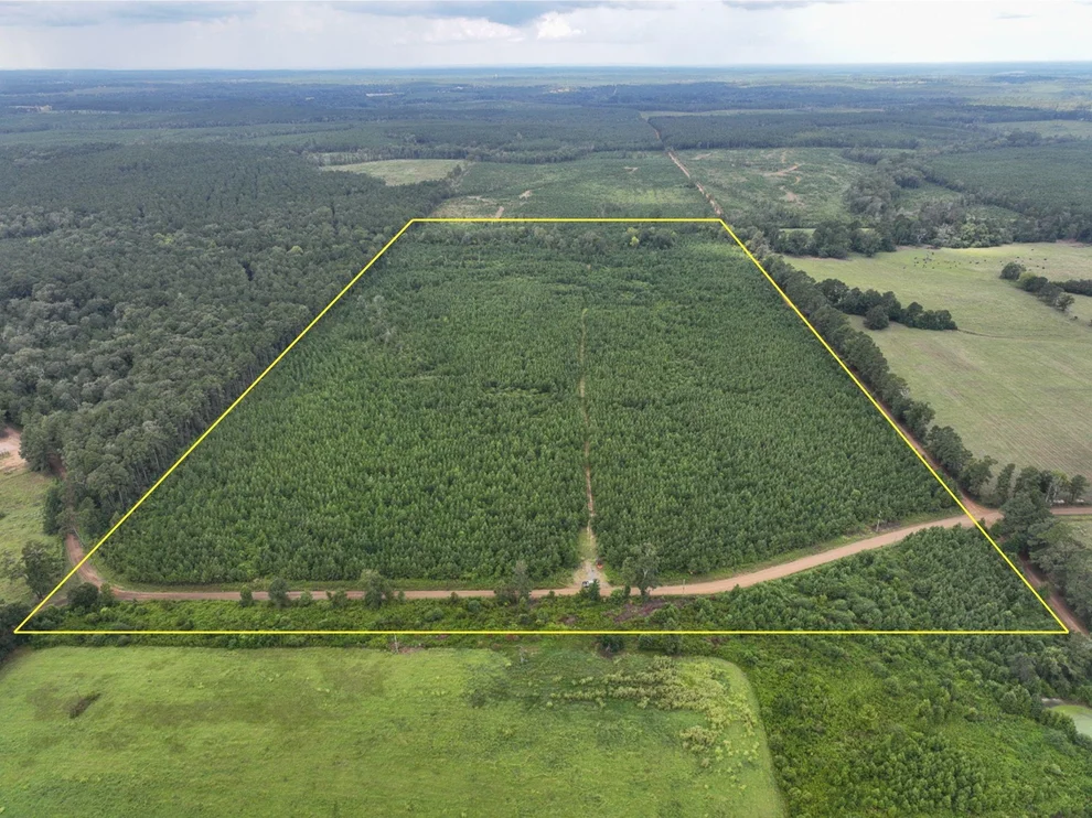 Unit for sale at 0 Warren Church Rd, Florien, LA 71429