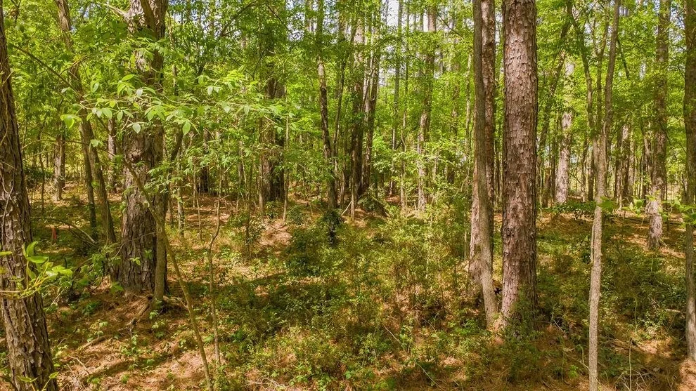 Unit for sale at 1723 Pineview Lane, Hideaway, TX 75771