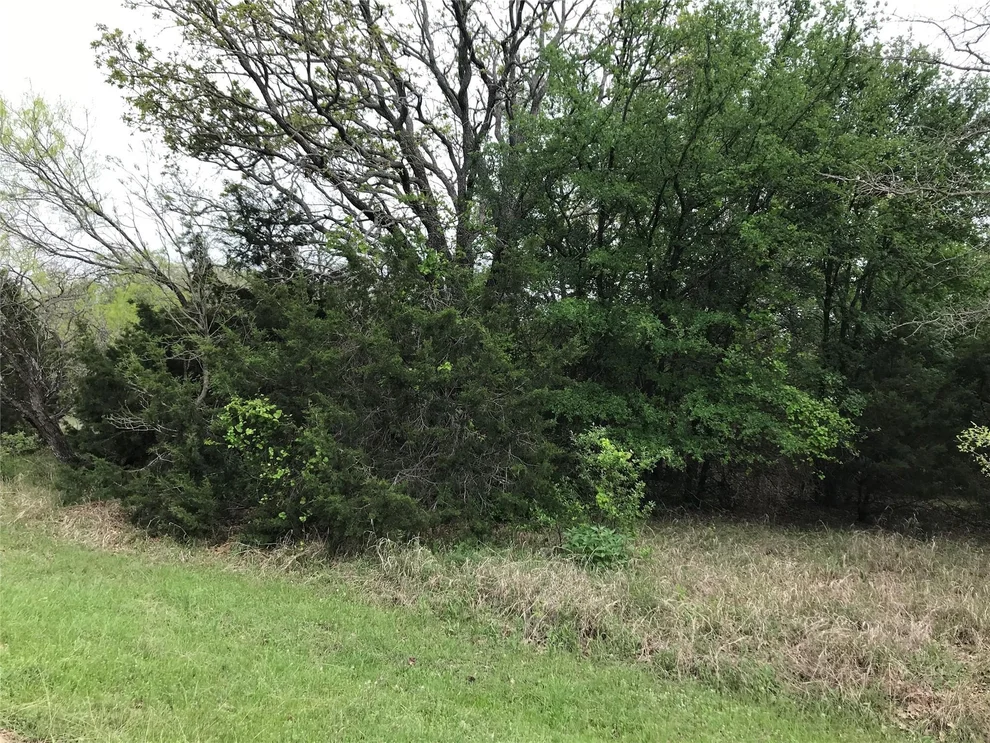 Unit for sale at 31037 Doe Run Court, Whitney, TX 76692