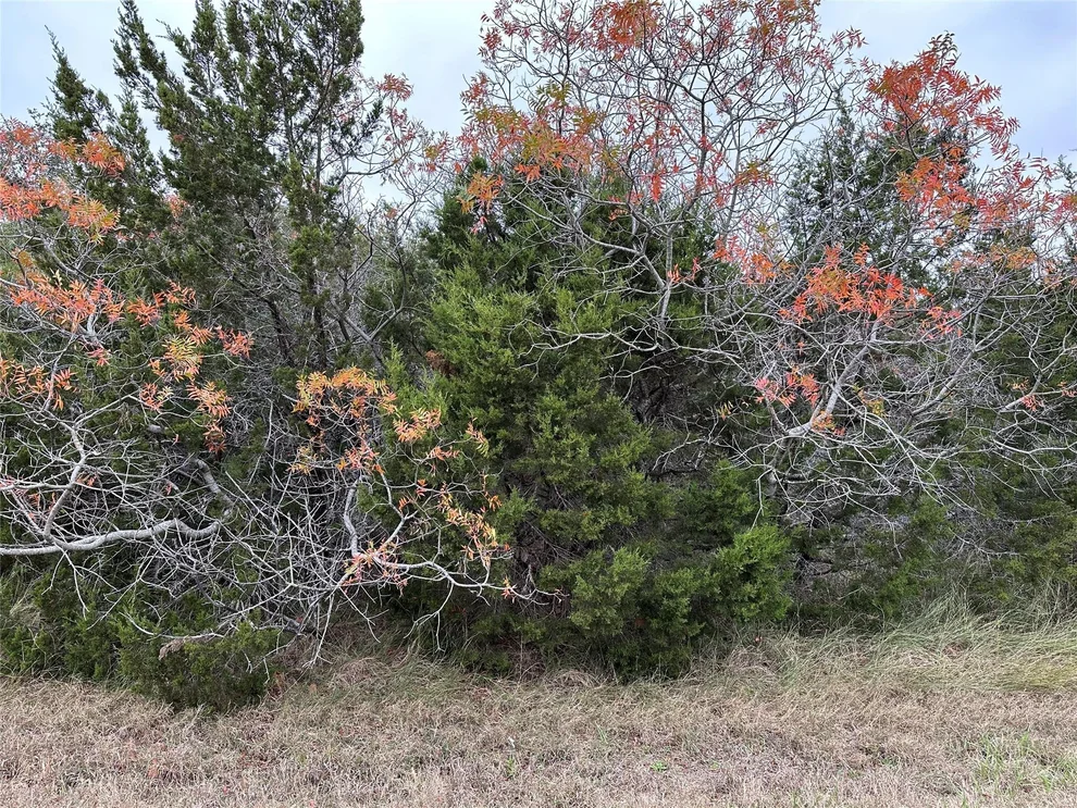 Unit for sale at 43198 Fringewood Drive, Whitney, TX 76692