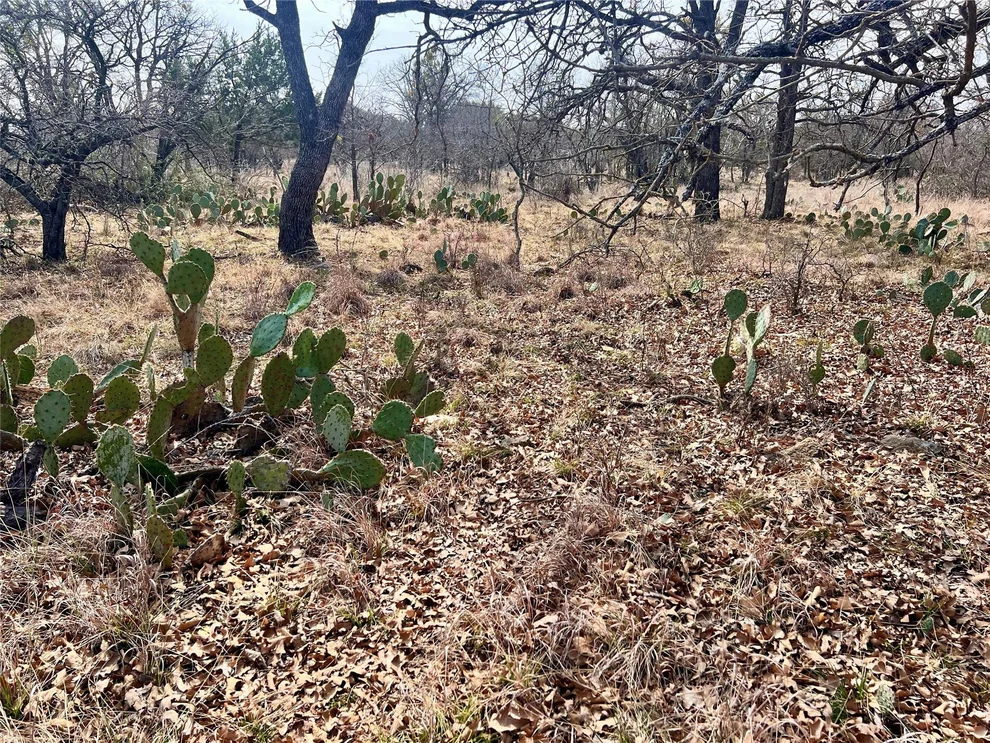Unit for sale at Lot 64 Janda Lane, Brownwood, TX 76801