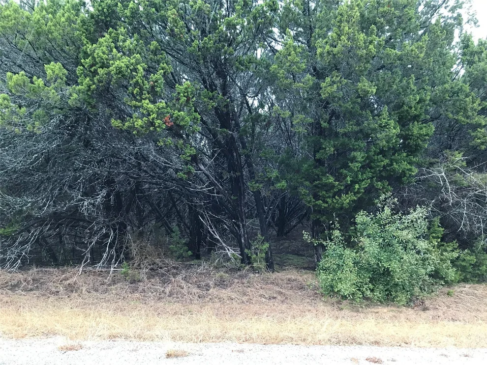 Unit for sale at 25060 Southhill Drive, Whitney, TX 76692