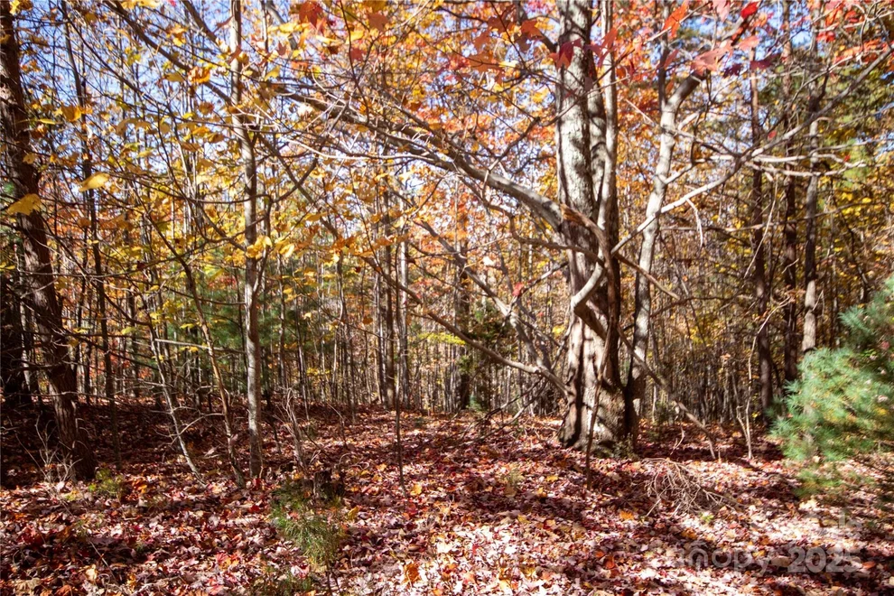 Unit for sale at Lot# 4 Peregrine Terrace, Lenoir, NC 28645